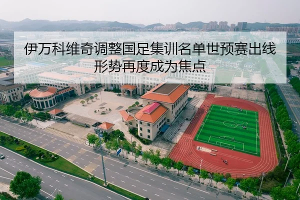 伊万科维奇调整国足集训名单世预赛出线形势再度成为焦点